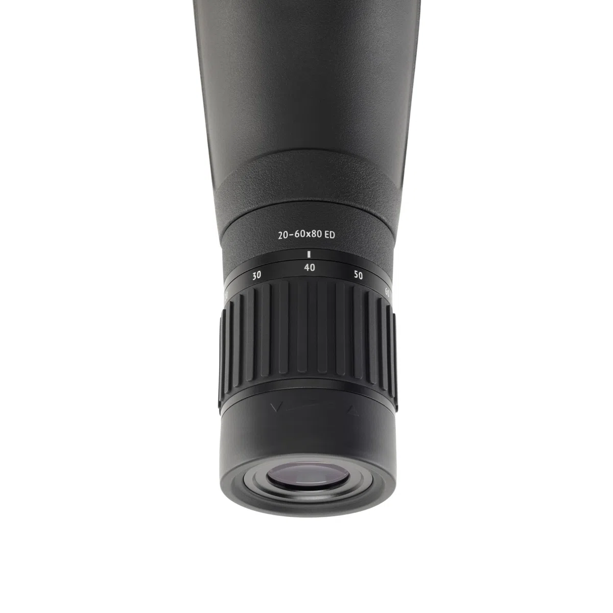 MINOX Longue-vue 20-60 x 80 ED | Observation pour l'ornithologie | Verre ED & zoom en continu | Objectif de 80 mm pour observation des oiseaux