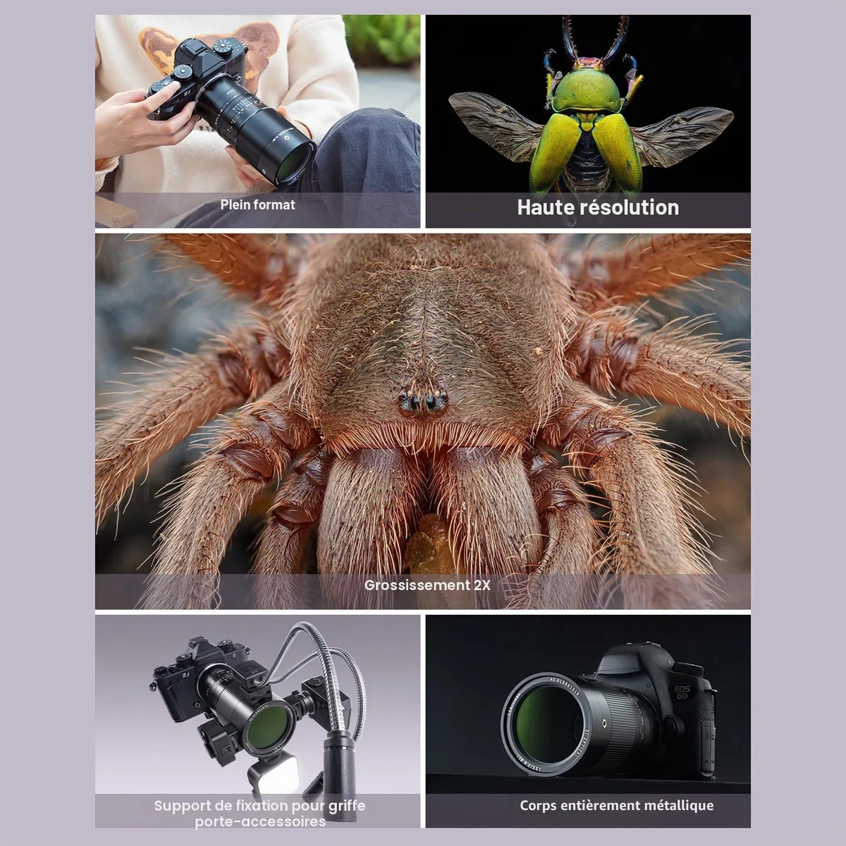TTARTISAN Objectif 100mm F2.8 Macro 2X pour Canon RF Monture Objectif à Mise au Point Manuelle pour la Photographie Miniature